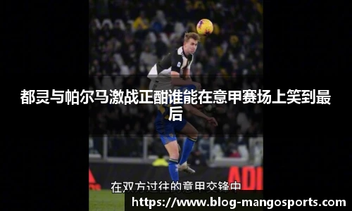 芒果体育官网入口