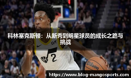 芒果体育官网入口