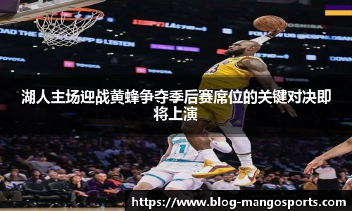 芒果体育官网入口